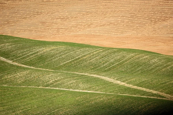 Campos cortados com estradas de terra — Fotografia de Stock