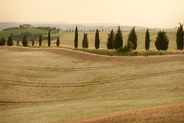 Тосканский пейзаж. Валь-д "Орча — стоковое фото