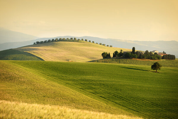 Paisaje toscano. Val d 'Orcia, Toscana — Foto de Stock