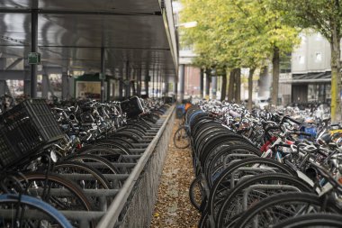 Birçok park edilmiş motosiklet bir depoda perspektif manzaralı