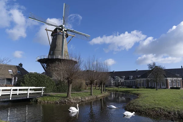 Bergambacht Nederländerna Februari 2021 Väderkvarn Den Arend Från 1869 Lantbrukslandskap — Stockfoto