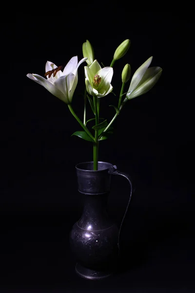 Stillife White Lily Flowers Black Backgound — Stock Photo, Image