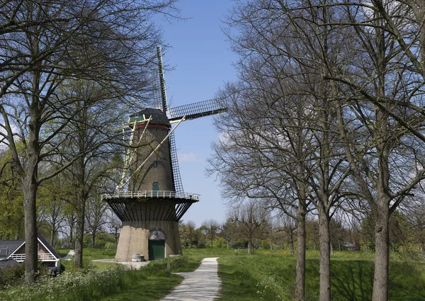 Hulst Países Baixos Maio 2021 Moinho Vento Citymill Stadsmolen Que — Fotografia de Stock