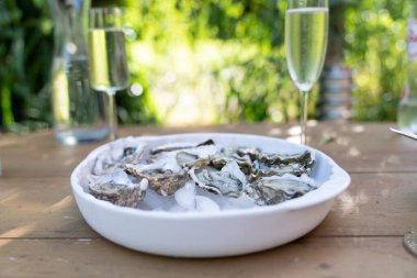 Taze açılmış istiridye ve limon dilimleri, iki bardak beyaz şarap ya da açık hava masasında şampanya.
