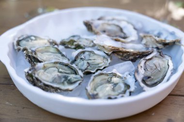 Taze açılmış istiridye ve limon dilimleri, iki bardak beyaz şarap ya da açık hava masasında şampanya.
