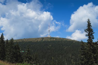 Gözcü kulesi tepenin üzerinde