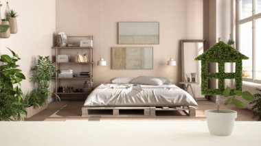 Beyaz masa üstü ya da rafta ev şeklinde yeşil bitki, arka planda diy paletli yatak odası, iç tasarım, emlak, ekolojik mimari fikri