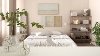 Beyaz masa üstü ya da rafta cam vazo ile hidrofonik bitki, süs, bitki kökü, vazo, ev bitkisi, yatak odası, çift yatak arka plan, iç tasarım