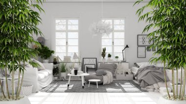 Zen iç döşeme, saksı bambu bitkisi, doğal iç dizayn konsepti, çift yataklı, parke, kanepe ve pencereli köy oturma odası. Çağdaş iç tasarım