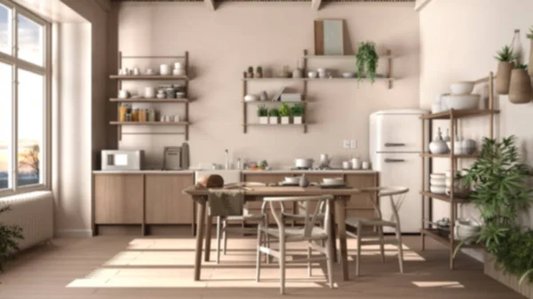 Sfocatura Sfondo Interior Design Eco Country Cucina Eco Interior Design — Foto Stock