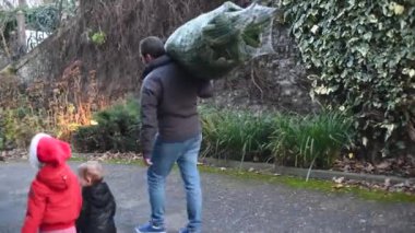 Babam bir Noel ağacı aldı ve evde taşıyor.