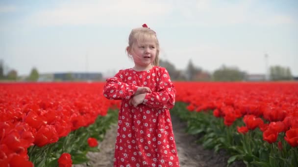 Fille courant dans un champ de tulipes rouges — Video
