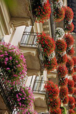 Balkonunda sardunya çömlekleri olan bir daire ya da otel.