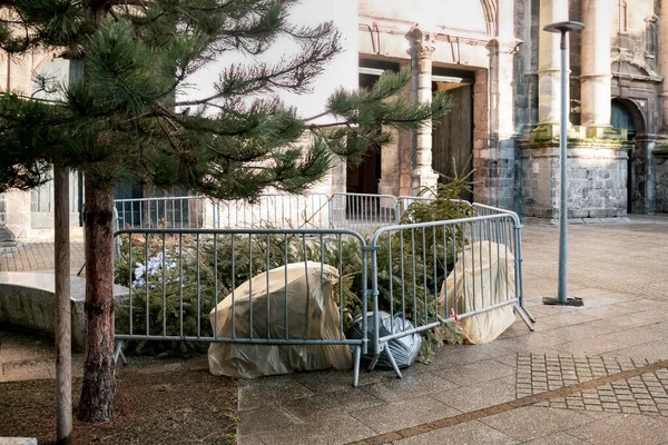 フランスのフェンスの後ろに使用されるクリスマスツリー — ストック写真