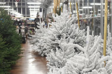 Noel yapay ağaçları bir dükkanda satılıyor.