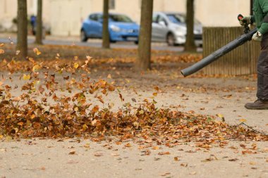 Adam yaprak üfleyicisiyle parkı temizliyor.