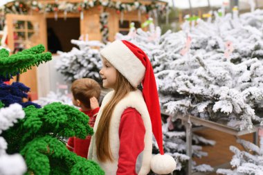 Bir kız ve beyaz bir Noel ağacı bir dükkanda satılıyor.