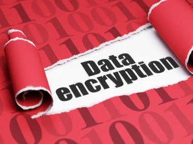 Protection concept: black text Data Encryption under the piece of  torn paper