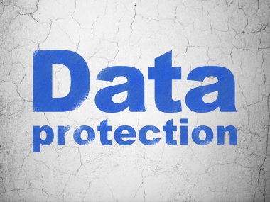 Security concept: Data Protection on wall background