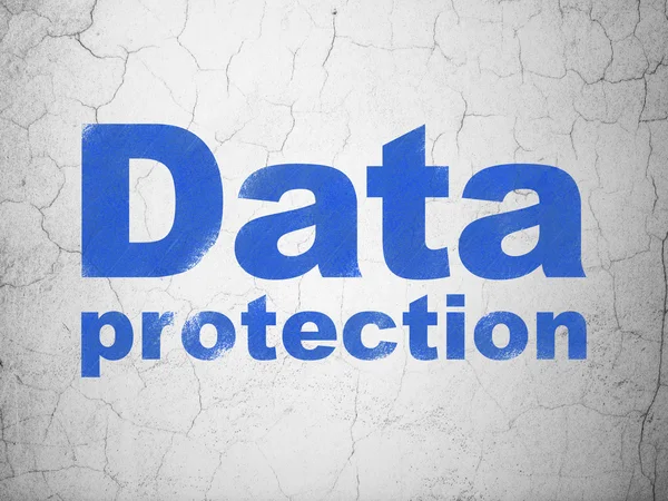 Security concept: Data Protection on wall background — Stock fotografie