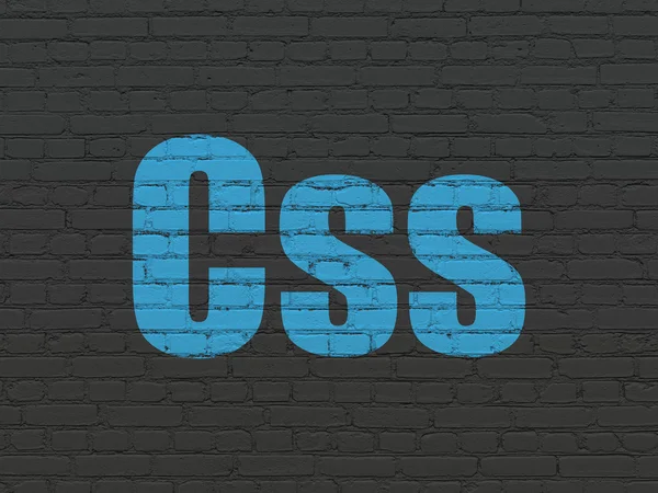 Software concept: Css op muur achtergrond — Stockfoto