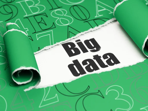 Conceito de informação: texto preto Big Data sob o pedaço de papel rasgado — Fotografia de Stock
