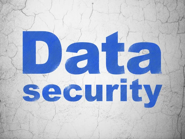 Privacy concept: Data Security on wall background — Stock Photo, Image