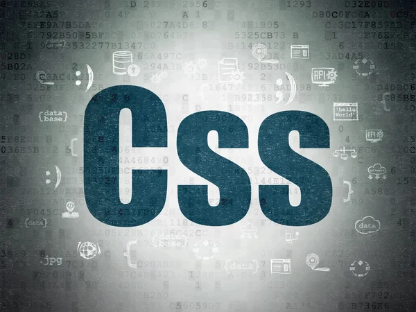 Software concept: Css on Digital Paper background — Stockfoto