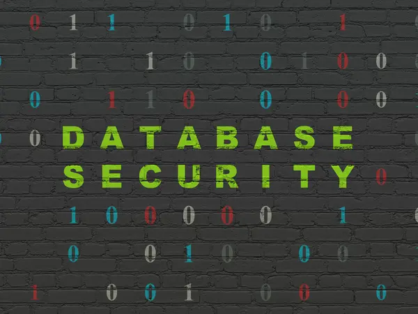Concepto de software: Seguridad de la base de datos en fondo —  Fotos de Stock