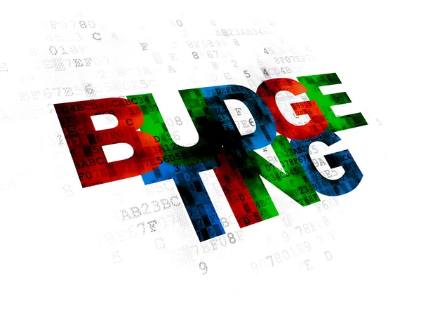 Business concept: Budgeting on Digital background — Stock Photo, Image