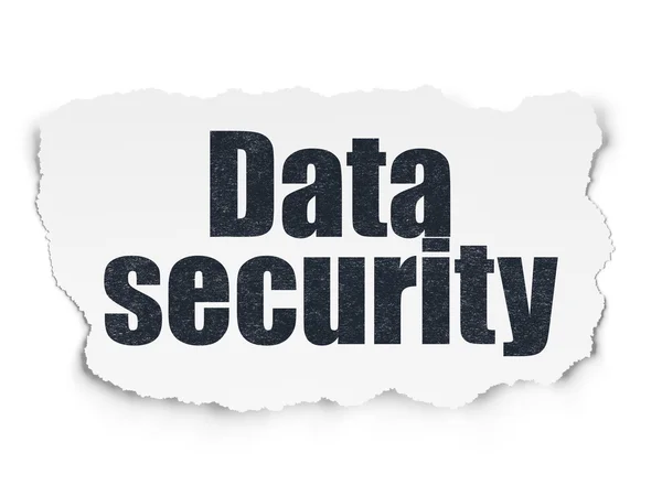 Privacy concept: Data Security on Torn Paper background — Stock Photo, Image