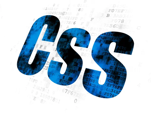 Programmering concept: Css op digitale achtergrond — Stockfoto