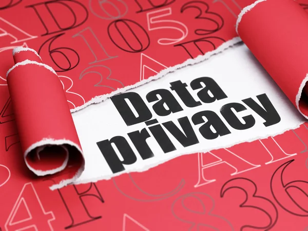 隐私权的概念: 黑色文本数据隐私下的那张破纸 — 图库照片