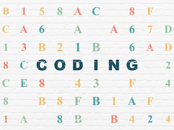 Software concept: Coding on wall background — Stock Photo, Image