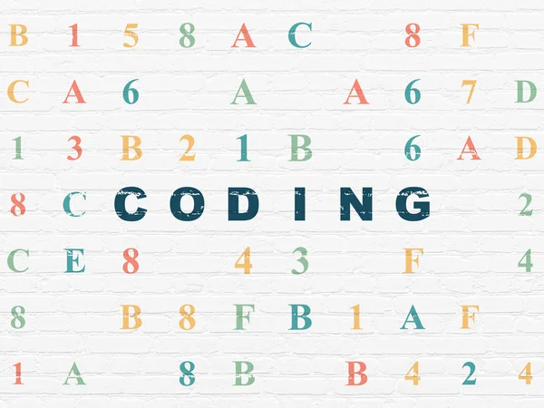 Concetto di software: Codifica su sfondo muro — Foto Stock