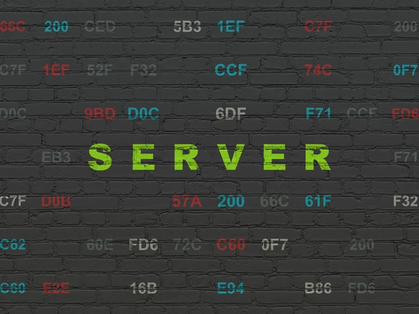 Web development concept: Server on wall background — Stock Photo, Image