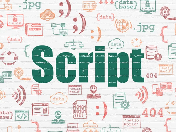 Software concept: Script on wall background — Stock Photo, Image