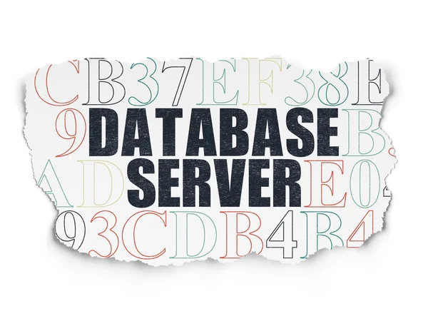 Conceito de software: Servidor de banco de dados em papel rasgado — Fotografia de Stock