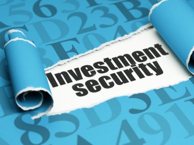 Gizlilik kavramı: yırtık kağıt parçası altında siyah metin Yatırım Güvenliği