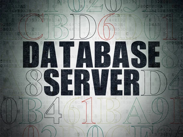 Konsep perangkat lunak: Database Server pada latar belakang Kertas Data Digital — Stok Foto