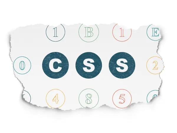 Software concept: Css op gescheurd papier achtergrond — Stockfoto