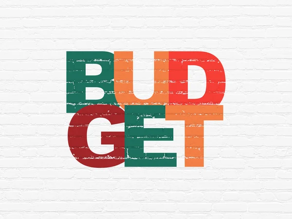 Banking concept: Budget on wall background — Stock Photo, Image