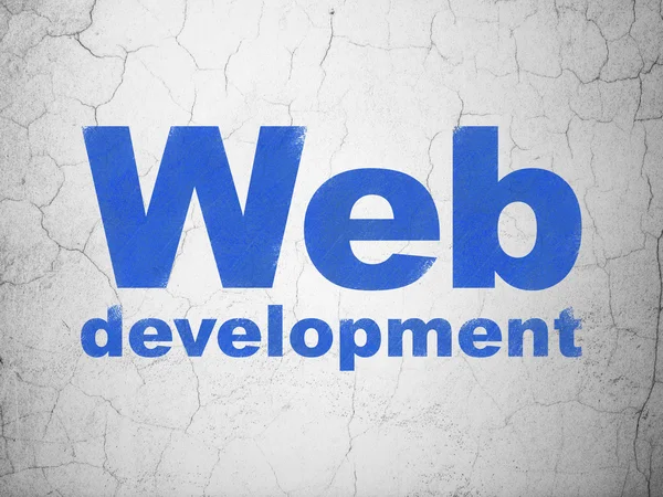 Web development concept: Web Development on wall background — Stock Photo, Image