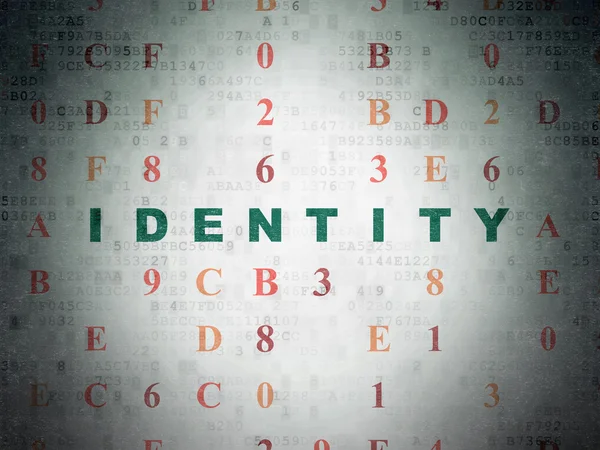 Concetto di privacy: identità su sfondo Digital Data Paper — Foto Stock