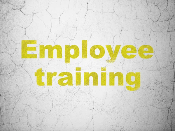 Education concept: Employee Training on wall background — Stock Photo, Image