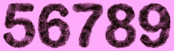 Baktériumok alakja 3D számjegyek 5, 6, 7, 8, 9 lila alapon — Stock Vector