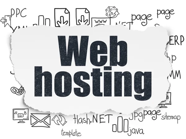 Koncepcja rozwoju sieci: Web Hosting na tle rozdarty papier — Zdjęcie stockowe