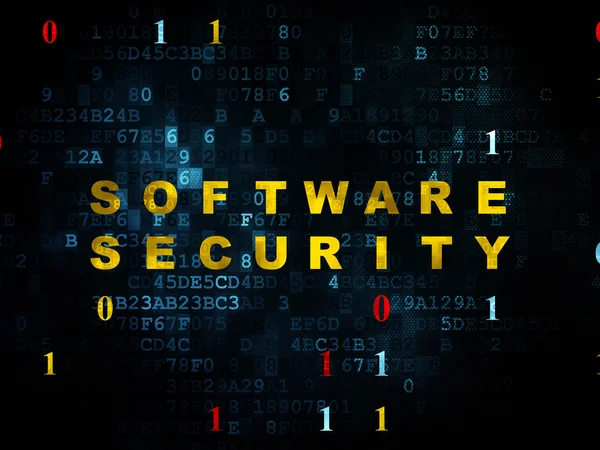 Privacy concept: Software Security on Digital background