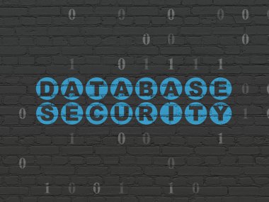 Security concept: Database Security on wall background