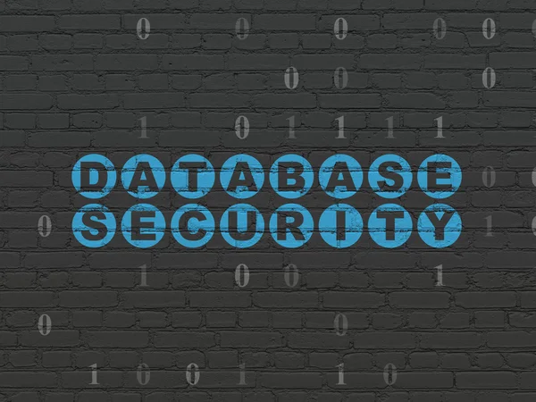 Security concept: Database Security on wall background — Stockfoto